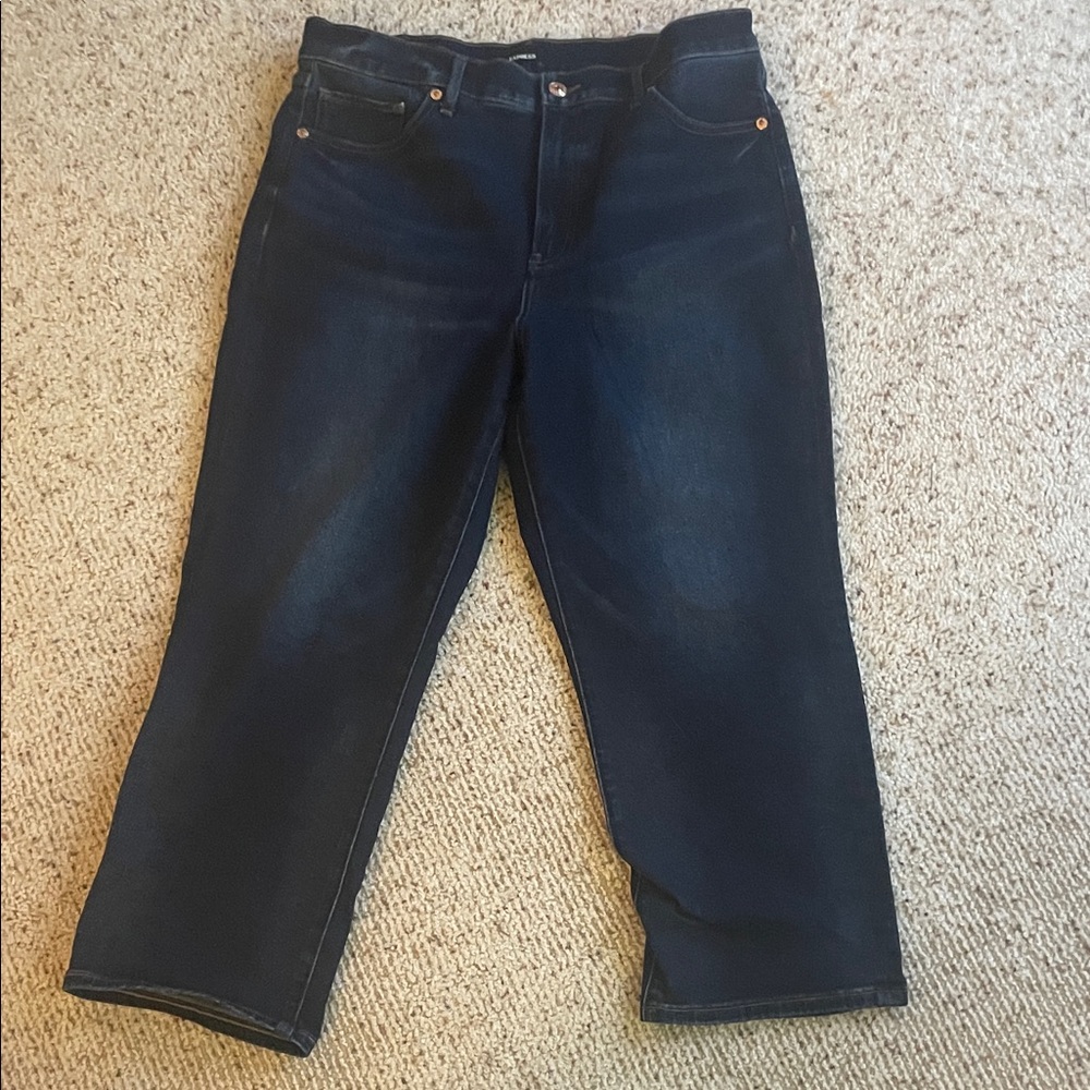 Express Indigo Denim Jeans